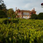 Palácio de Fronteira, uma imensa beleza escondida